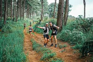 BIB: 
                            <button type="button" onclick="openModal(25658445)" class="btn btn-primary btn-sm float-right btn-popup" data-toggle="modal" data-target=".modal-high-quality">
                        <i class="fas fa-shopping-cart"></i> Add to Cart
                    </button>
                                            <button type="button" onclick="isThisMe(25658445, true)" class="btn btn-success btn-sm float-right btn-popup btn-isme hidden" data-toggle="tooltip" data-placement="bottom" title="นี่คือรูปของคุณใช่ไหม คลิกที่นี่เพื่อเอาเข้าอัลบั้ม">
                        <i class="fas fa-plus"></i> Add to album
                    </button>
                    <button type="button" onclick="isThisMe(25658445, false)" class="btn btn-warning btn-sm float-right btn-popup btn-isnotme hidden">
                        <i class="fas fa-ban"></i> Remove from album
                    </button>